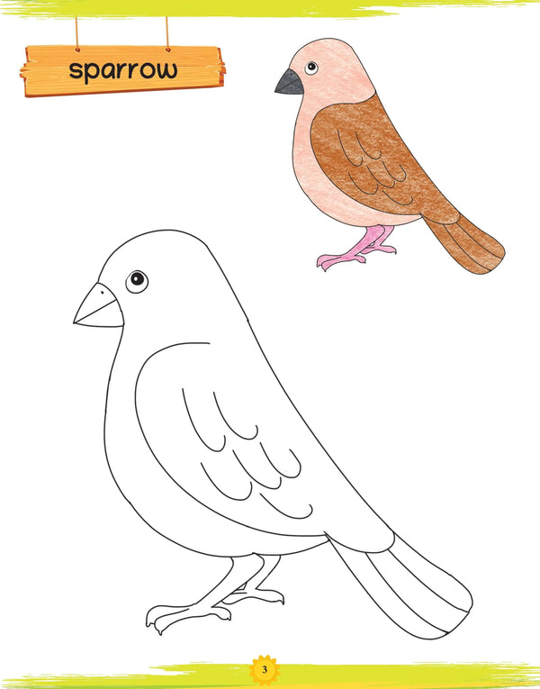 Lil Legends Colouring Set